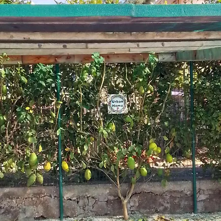 Urban Apartmán *